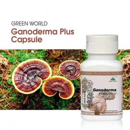 Ganoderma Plus Capsule